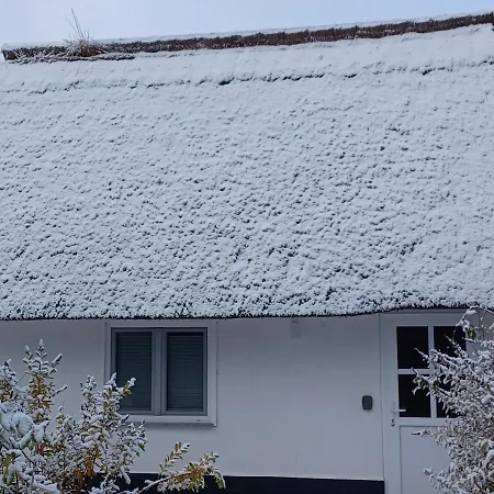 Ankerplatz 1 Tatil Evi Dierhagen